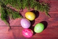 Four multicolored bright easter eggs and thuja branch Royalty Free Stock Photo