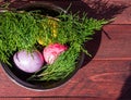 Four multicolored bright easter eggs and thuja branch Royalty Free Stock Photo