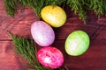 Four multicolored bright easter eggs and thuja branch Royalty Free Stock Photo