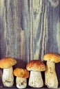 Four mushrooms boletus close up on wooden background. Fresh forest mushrooms