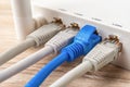 Four network cable plugs connected to the white Wi-Fi wireless router on a wooden desk. Macro shot of home and office wlan router Royalty Free Stock Photo