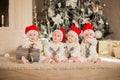 Four newborn kids in red Santa`s caps sitting on the floor in white Christmas studio