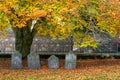 Four old headstones under an old oak tree in autumn or fall surrounded by brown leaves Royalty Free Stock Photo