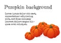 Four orange pumpkins with green stems on white background.