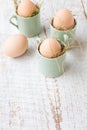 Four organic hen eggs, bio produce Royalty Free Stock Photo