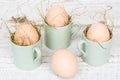 Four organic hen eggs, bio produce