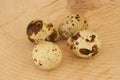 Four organic quail eggs