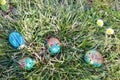 Four painted stones as beetles in the green grass