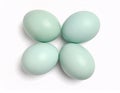 Four pale blue duck eggs are arranged neatly on a white background. Generative AI Royalty Free Stock Photo