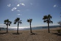 four palm trees on a sea beach