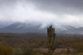 Four Peaks, Mountain, Maricopa County, Arizona Royalty Free Stock Photo