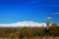 Four Peaks Mountains Covered in Snow in Arizona with Cactus and Desert Brush in the Foreground Royalty Free Stock Photo