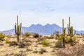 The Four Peaks and Saguaros Royalty Free Stock Photo