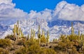 Four Peaks, Sonoran Desert Royalty Free Stock Photo