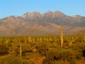 Four Peaks with Saguaros Royalty Free Stock Photo