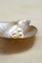 Four pearls in open oyster shell on beach close up