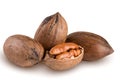 Four pecan nuts isolated on white background Royalty Free Stock Photo