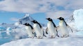 Four penguins walk in a line across an icy landscape with snow capped mountains in the background