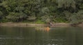 four people in an orange air boat sailing in the middle of a river