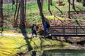 Four people walking along a footpath in the garden with a brown wooden fence and a small pond with lush green grass on the banks