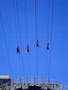 4 people ziplining at Fremont st Experience Downtown Las Vegas