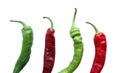 Four peppers Royalty Free Stock Photo