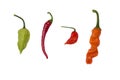 Four peppers isolated on white Royalty Free Stock Photo