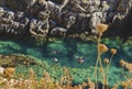 Four persons swimming, snorkeling, playing and exploring the underwater treasures in the crystal clear turquoise water of