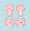 four pigs group