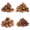Four Piles of Brown Acorns Royalty Free Stock Photo