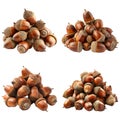 Four Piles of Brown Acorns Royalty Free Stock Photo