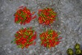 Four piles of tiny red and green hot chili peppers on a mottled gray background