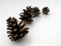 Four Pine Cones Royalty Free Stock Photo