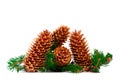 Four pine cones and branches in a scenic Christmas decoration Royalty Free Stock Photo