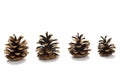 Four Pine Cones Royalty Free Stock Photo