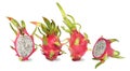 Four pink dragon fruit. Fruitage of cactus is tropical fruit. Royalty Free Stock Photo