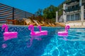 Four PINK FLAMINGs IN A SWIMMING POOL. Exotic, plastic.