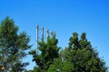 Four pipes from the boiler room on the background of trees and a blue sky. Abstract background.