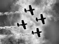 Four piston propeller aerobatic aicraft against sun. Royalty Free Stock Photo