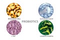 Four popular types of bacteria probiotics Royalty Free Stock Photo