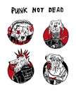 Four portraits of punk dogs. Color illustrations are suitable for decoration and as an independent poster or on a T-shirt.