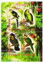 Four postage stamps printed in Chad shows Parrots serie, circa 2013