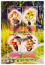 Four postage stamps printed in Congo shows Mushrooms serie, circa 2013