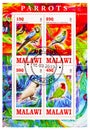 Four postage stamps printed in Malawi shows Parrots serie, circa 2013