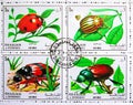 Four postage stamps printed in Sharjah shows Beetles - MiNo. 1300-03, Bugs serie, circa 1972