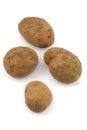 Four potatos on white background Royalty Free Stock Photo