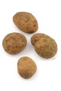 Four potatos on white background