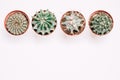 Four pots with cactuses stand in a row on a white wooden background. Retro