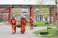 Four professional firefighter firefighters in orange protective fireproof suits, white helmets and gas masks carry the injured per