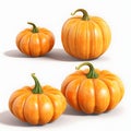 Four pumpkins. Pumpkin as a dish of thanksgiving for the harvest, picture on a white isolated background